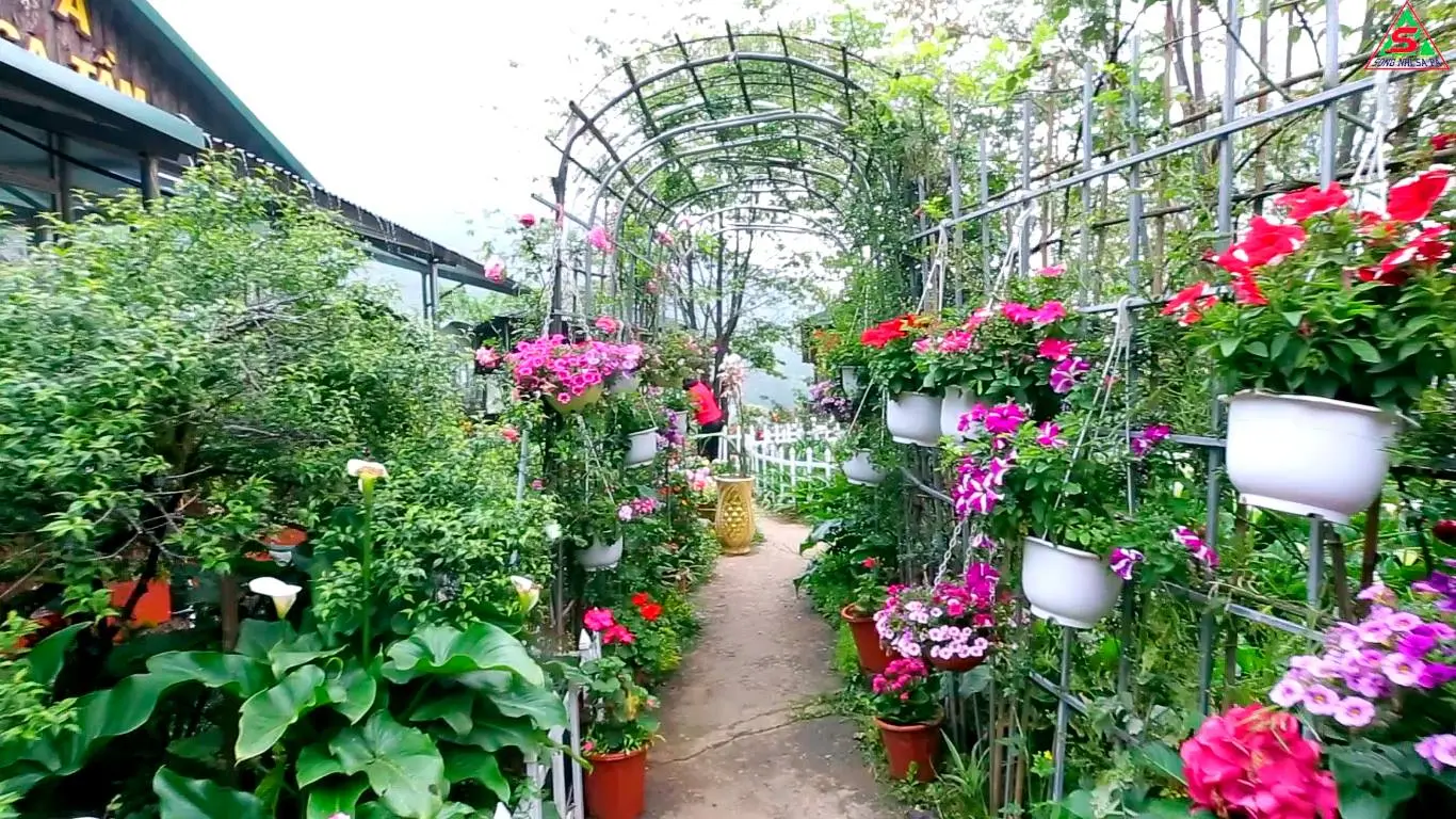 Nh&agrave; h&agrave;ng Song Nhi Sapa - Ng&acirc;y ngất với những m&oacute;n ăn từ c&aacute; hồi v&ocirc; c&ugrave;ng tươi ngon tại v&ugrave;ng T&acirc;y Bắc 14