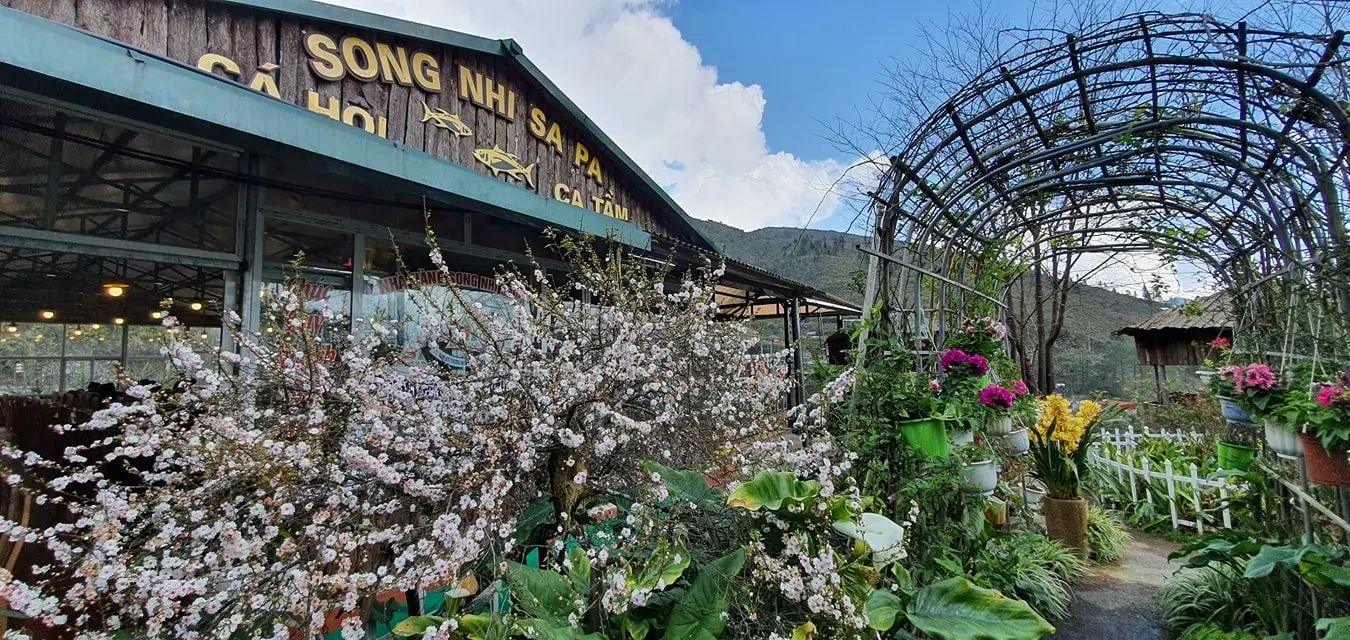 Nh&agrave; h&agrave;ng Song Nhi Sapa - Ng&acirc;y ngất với những m&oacute;n ăn từ c&aacute; hồi v&ocirc; c&ugrave;ng tươi ngon tại v&ugrave;ng T&acirc;y Bắc 2