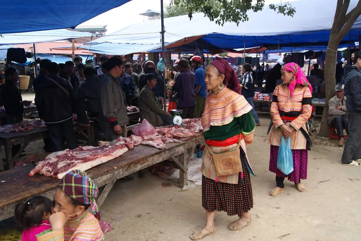 Thịt lợn cắp nách - Loại thịt rừng nhân tạo được tín đồ ẩm thực săn lùng 7