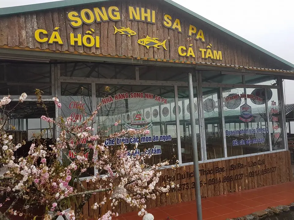 Nhà hàng Song Nhi Sapa - Ngây ngất với những món ăn từ cá hồi vô cùng tươi ngon tại vùng Tây Bắc