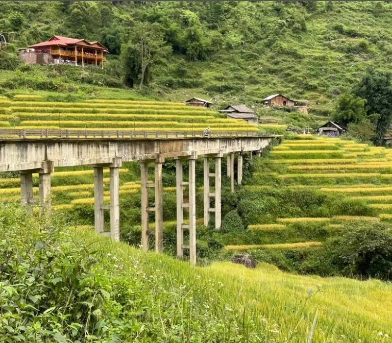 Bản Lao Chải bình yên như bản tình ca của núi đồi Sapa
