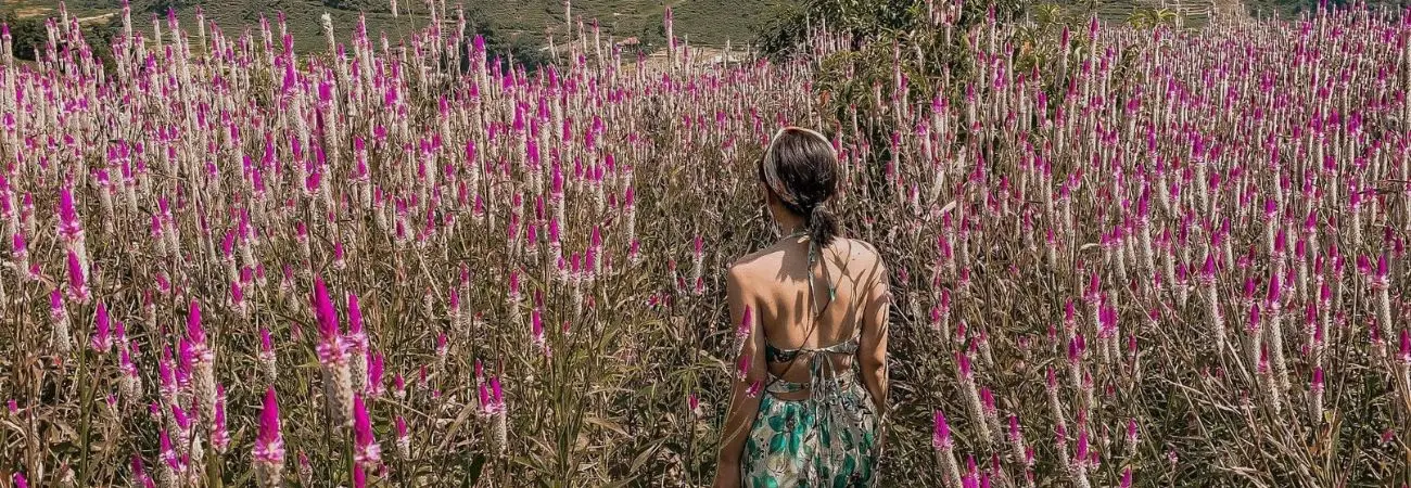 Có một hành trình khám phá Sapa bình yên trong nỗi nhớ
