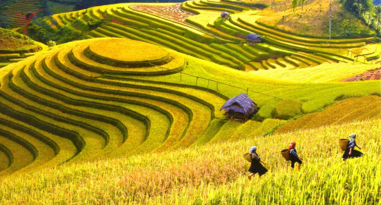 Anh ch&agrave;ng Thiện Thắng c&ugrave;ng niềm đam m&ecirc; du lịch bất tận review trải nghiệm Sapa trong 17 giờ 9