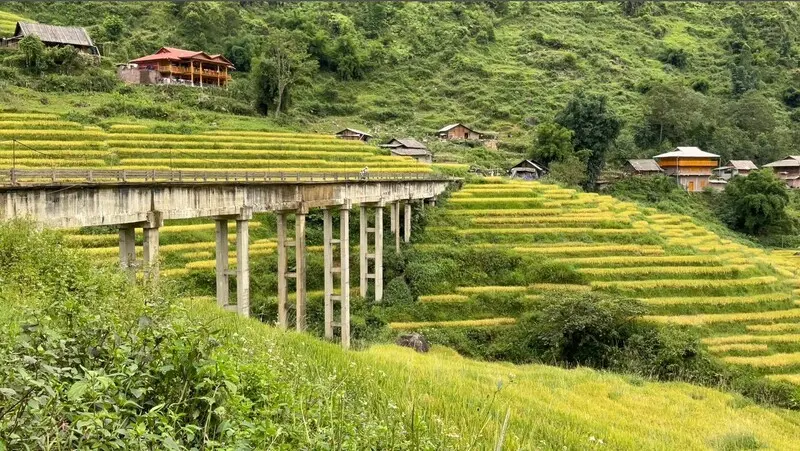 Bản Lao Chải bình yên như bản tình ca của núi đồi Sapa 3