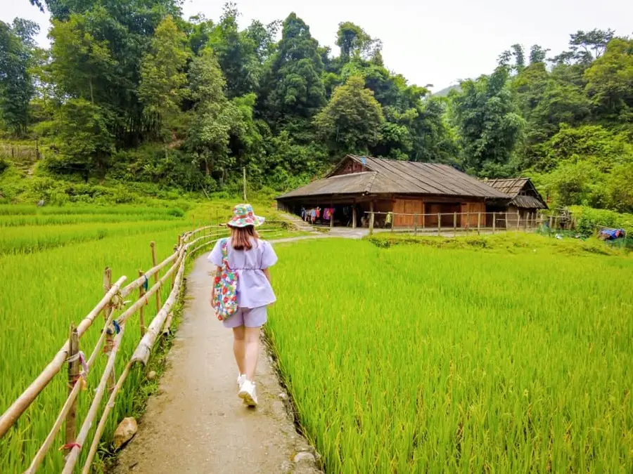 Cảnh đẹp S&eacute;o M&yacute; Tỷ, điểm check-in cực chill bạn n&ecirc;n gh&eacute; khi đến Sapa 4