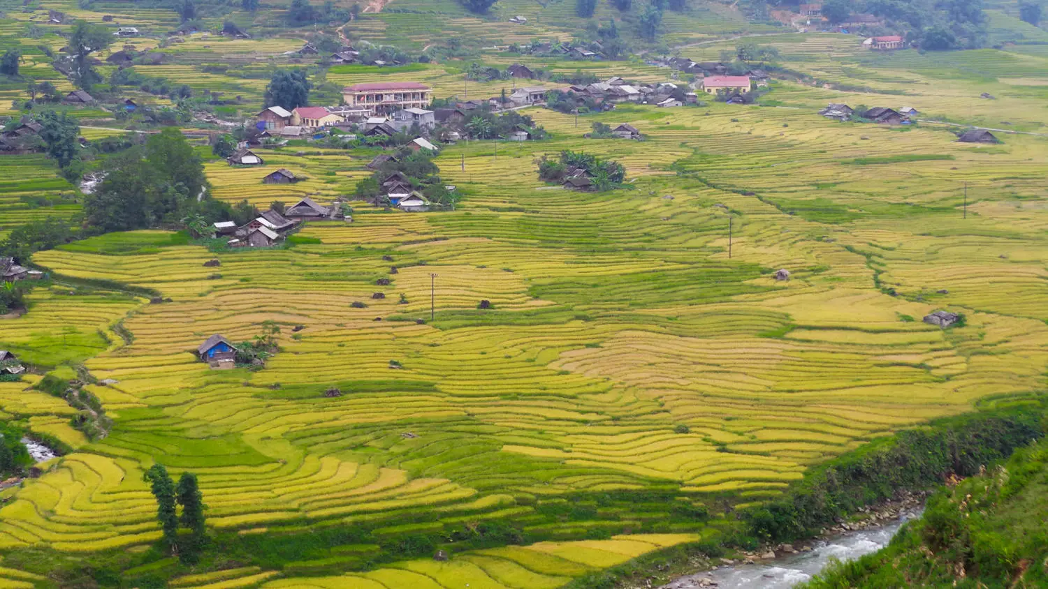 Chuyến Kh&aacute;m ph&aacute; Sapa kh&ocirc;ng hồi kết của ch&agrave;ng trai Nguyễn Thanh Tuấn 5