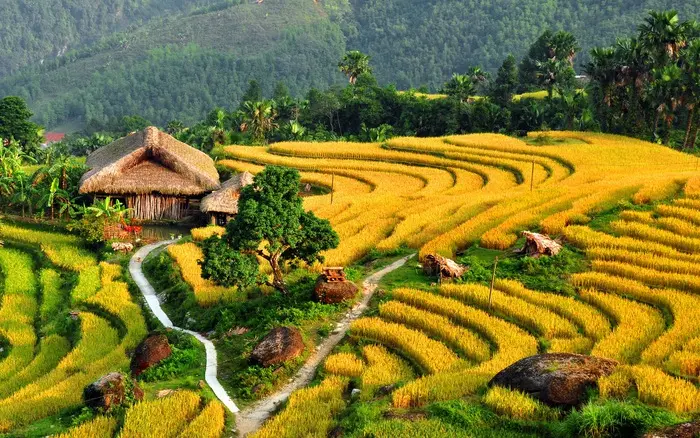 C&oacute; một Sapa dịu d&agrave;ng trong mắt c&ocirc; n&agrave;ng Đo&agrave;n Nhật Tuệ 15