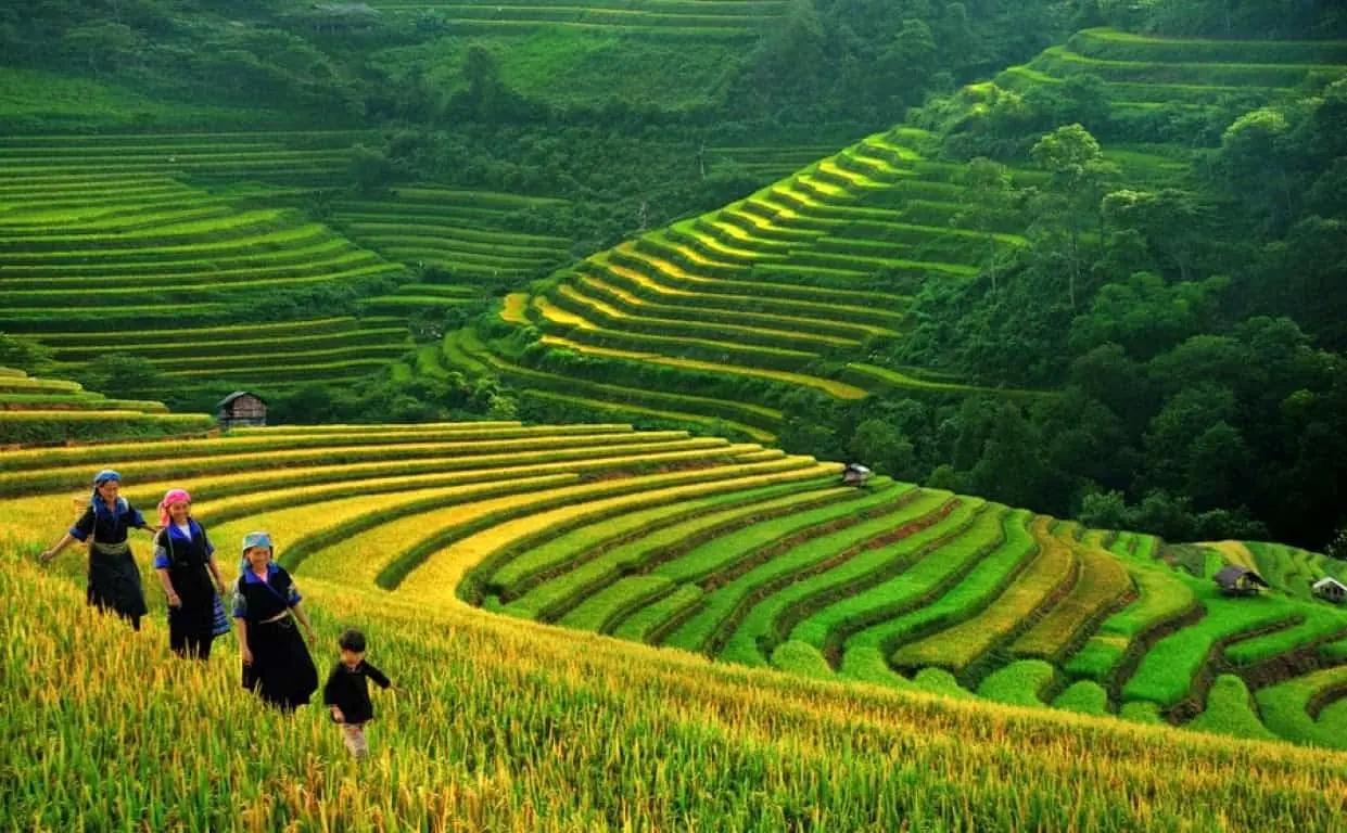Đắm say trước bức tranh bốn m&ugrave;a xinh đẹp tại Sapa 3