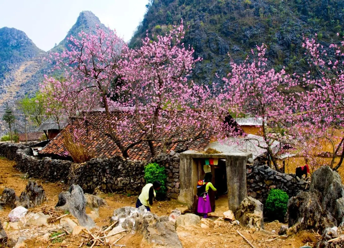 Đất trời Sapa 12 th&aacute;ng với cảnh sắc biến đổi say đắm l&ograve;ng người 5