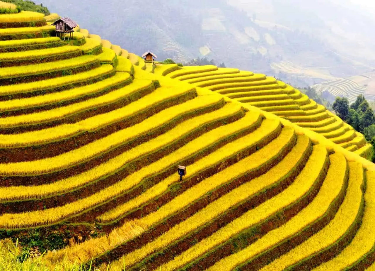 Đất trời Sapa 12 th&aacute;ng với cảnh sắc biến đổi say đắm l&ograve;ng người 10