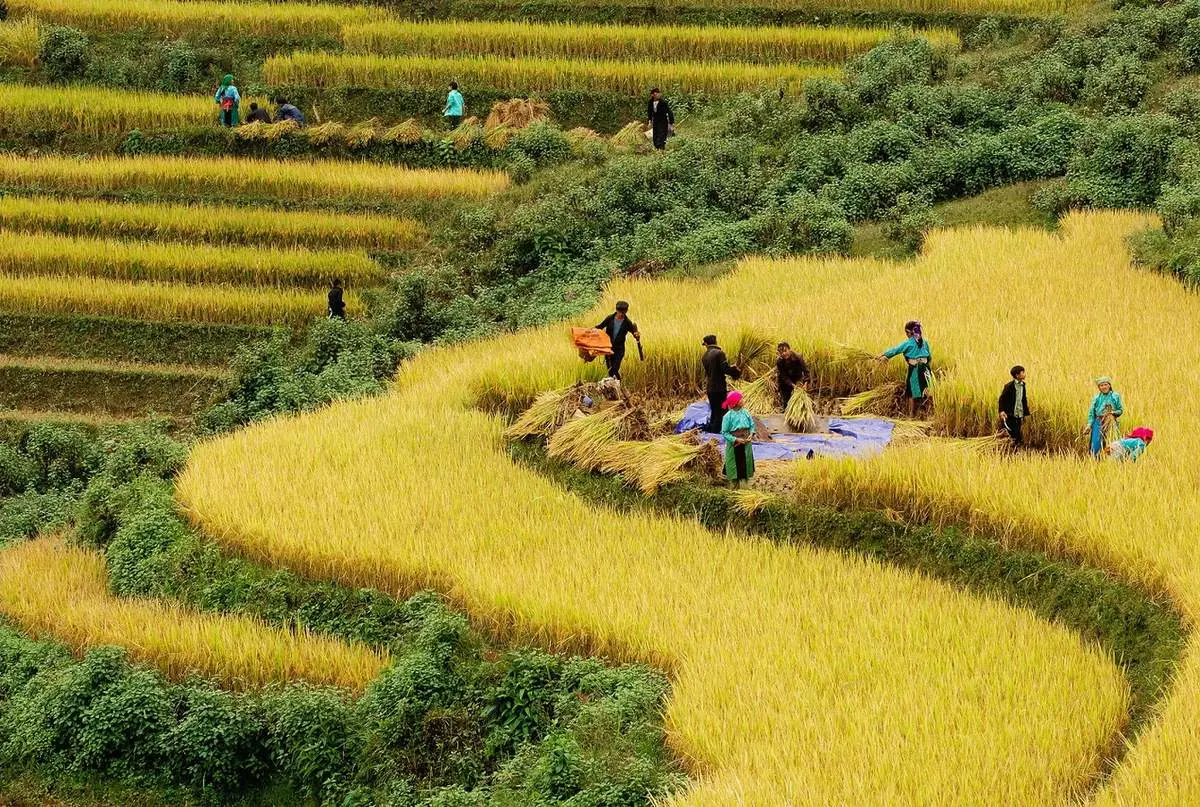 Đất trời Sapa 12 th&aacute;ng với cảnh sắc biến đổi say đắm l&ograve;ng người 11