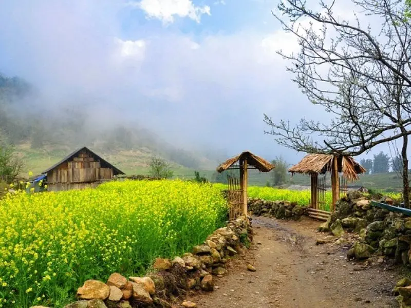 Du lịch Sapa Tết 2026: Kỳ nghỉ tuyệt vời giữa bồng lai tiên cảnh 2
