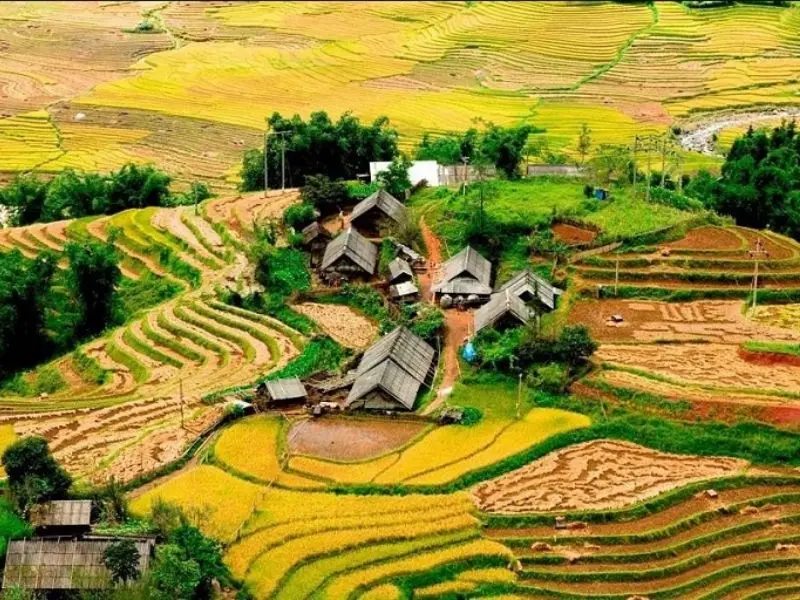 Du lịch Sapa Tết 2026: Kỳ nghỉ tuyệt vời giữa bồng lai tiên cảnh 4