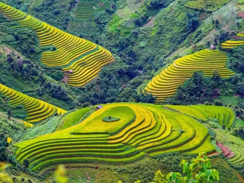 Du lịch Sapa Tết 2026: Kỳ nghỉ tuyệt vời giữa bồng lai tiên cảnh 7