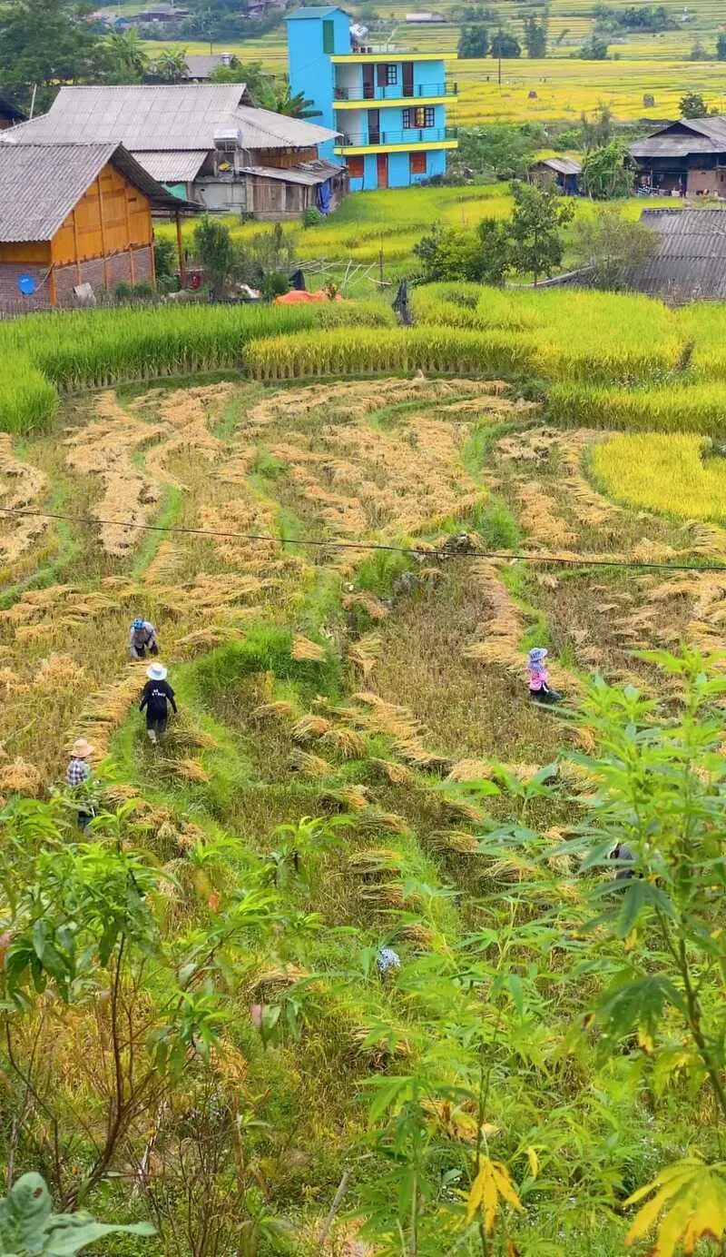 H&agrave;nh tr&igrave;nh 48h ở Sapa v&ocirc; c&ugrave;ng th&uacute; vị của c&ocirc; bạn Phương Tali 5