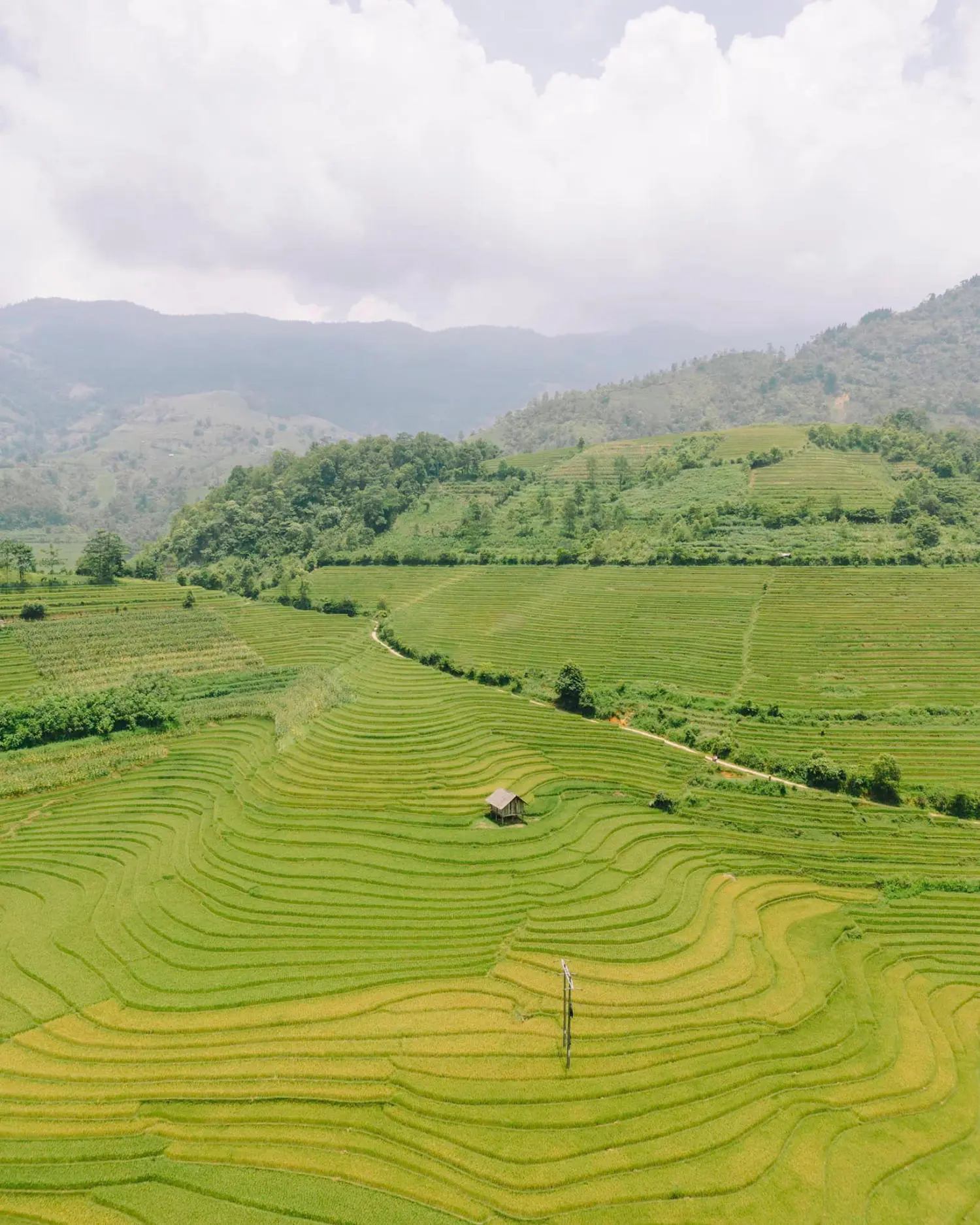 Kh&aacute;m ph&aacute; Nậm Cang m&ugrave;a l&uacute;a ch&iacute;n mộc mạc v&agrave; rất đỗi b&igrave;nh dị 3
