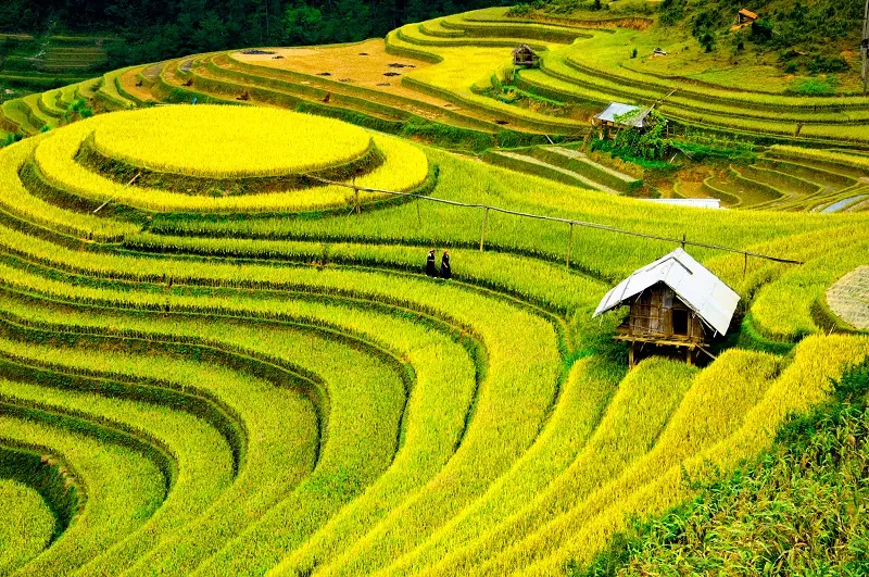 Kiệt t&aacute;c ruộng bậc thang Sapa giữa miền n&uacute;i cao T&acirc;y Bắc 3
