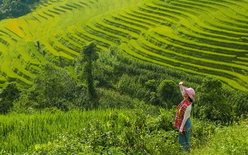 Kiệt t&aacute;c ruộng bậc thang Sapa giữa miền n&uacute;i cao T&acirc;y Bắc 9