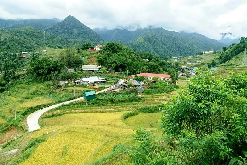 Kiệt t&aacute;c ruộng bậc thang Sapa giữa miền n&uacute;i cao T&acirc;y Bắc 8