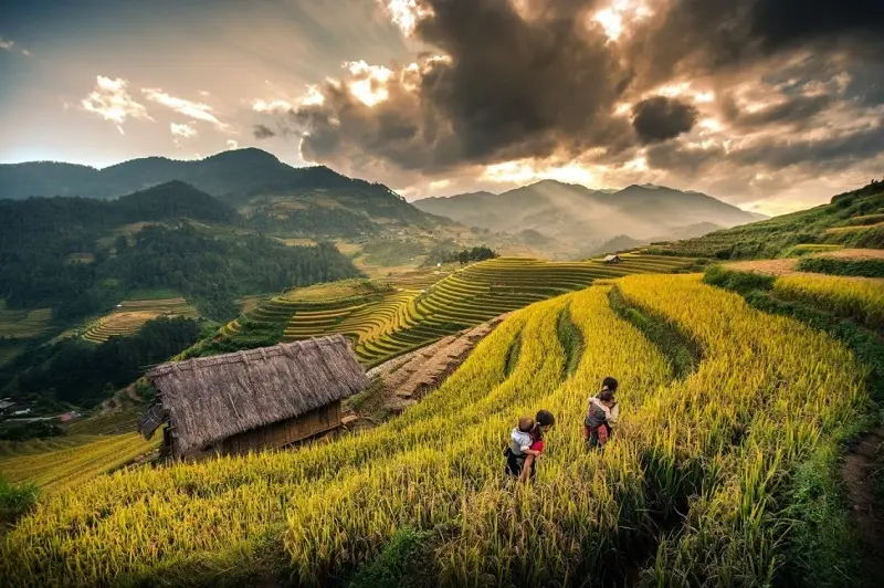 Kiệt t&aacute;c ruộng bậc thang Sapa giữa miền n&uacute;i cao T&acirc;y Bắc 7