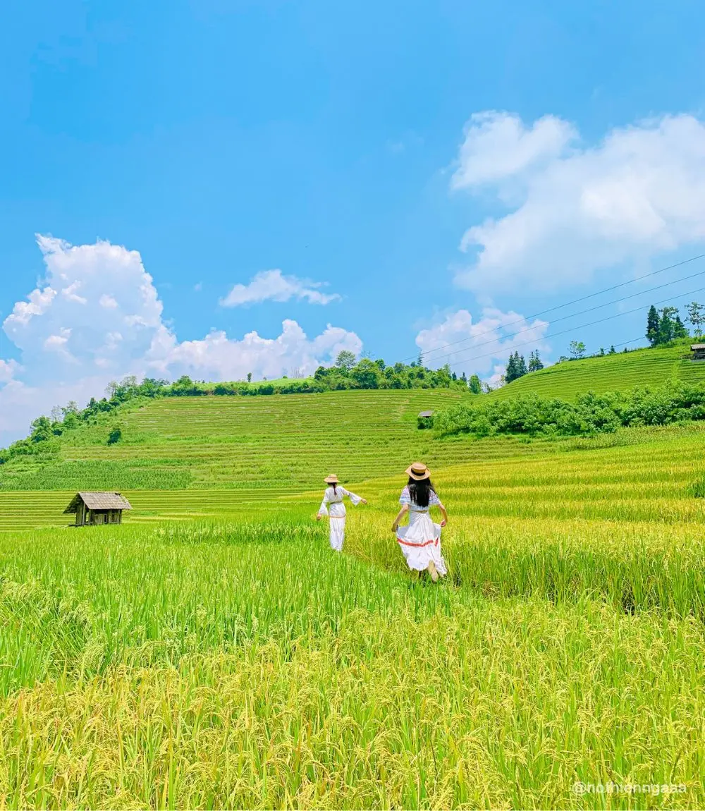 M&ugrave;a L&uacute;a Nậm Cang Sapa mang theo vẻ đẹp b&igrave;nh y&ecirc;n đến nao l&ograve;ng 5