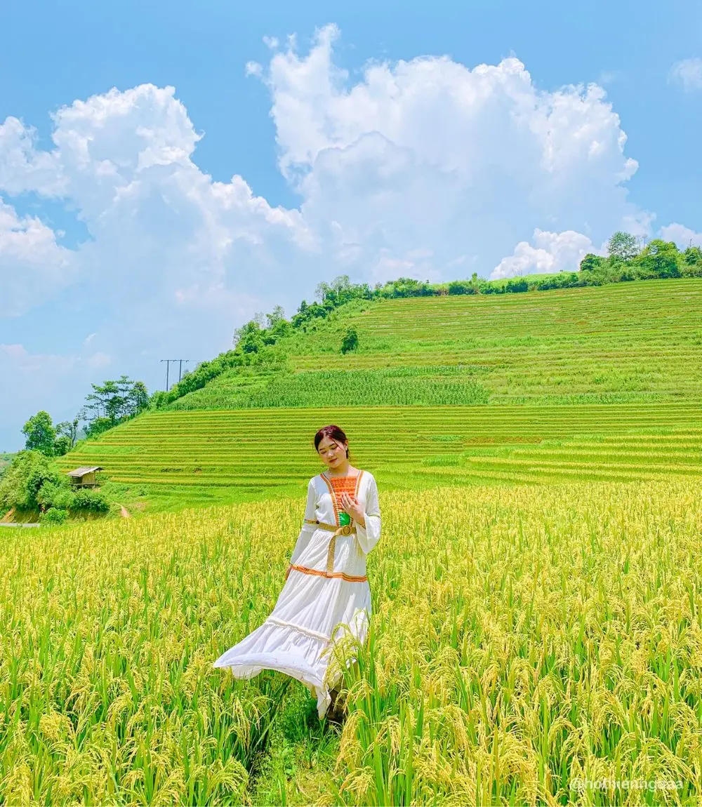 M&ugrave;a L&uacute;a Nậm Cang Sapa mang theo vẻ đẹp b&igrave;nh y&ecirc;n đến nao l&ograve;ng 9