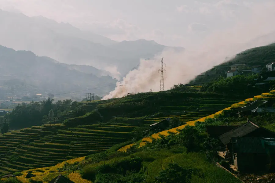 M&ugrave;a v&agrave;ng tr&ecirc;n Bản Tả Van dịu d&agrave;ng trong đ&ocirc;i mắt của lữ kh&aacute;ch bốn phương 8
