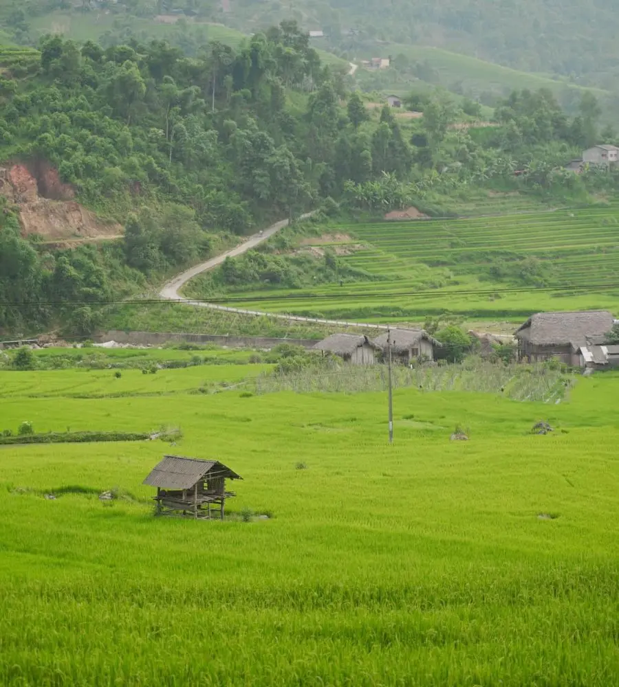 Sapa tháng 7 đẹp ngẩn ngơ cùng mùa lúa Nậm Cang bao quanh bản làng 2