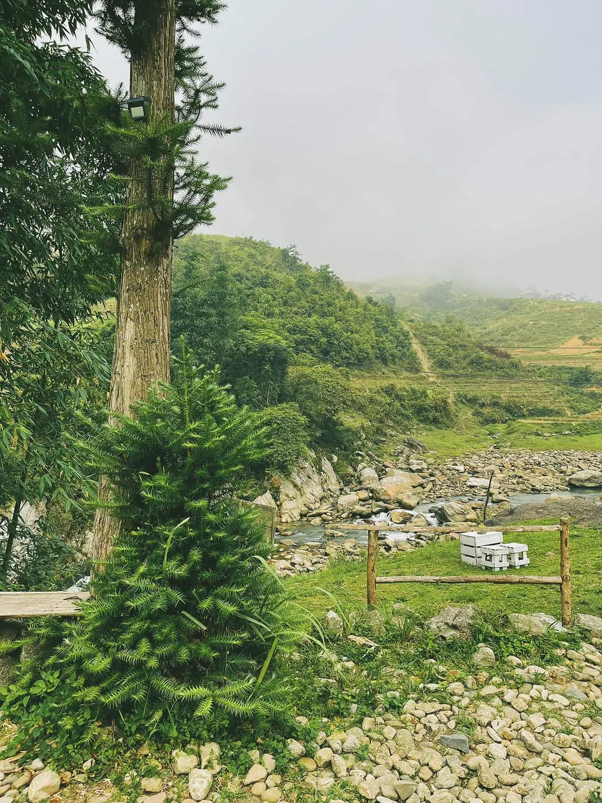 Vẻ đẹp đầy y&ecirc;n b&igrave;nh của Sapa qua lăng k&iacute;nh của bạn Chu Phuong Linh 7