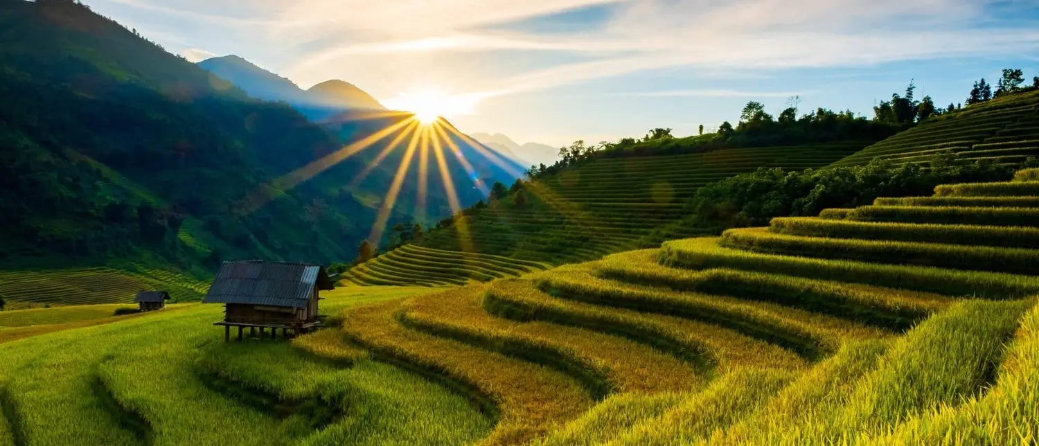 Mùa lúa chín ở Nậm Cang, cảnh sắc say đắm lòng người