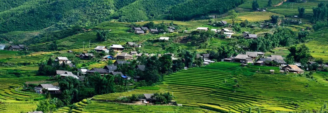 Review Tả Van mùa lúa chín đẹp đắm say lòng người