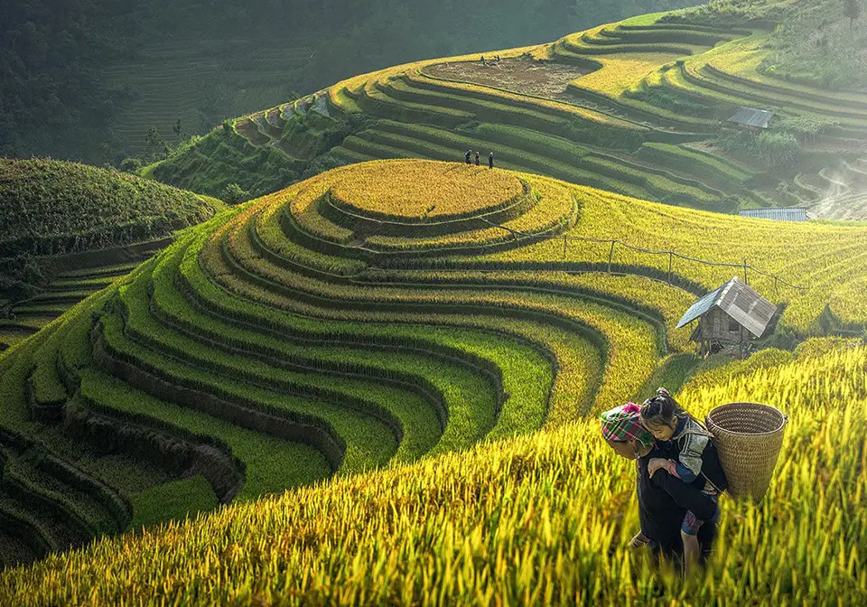 Lịch tr&igrave;nh kh&aacute;m ph&aacute; Sapa 2N1Đ - Đường l&ecirc;n Thị trấn trong m&acirc;y hấp dẫn, cực chi tiết 7