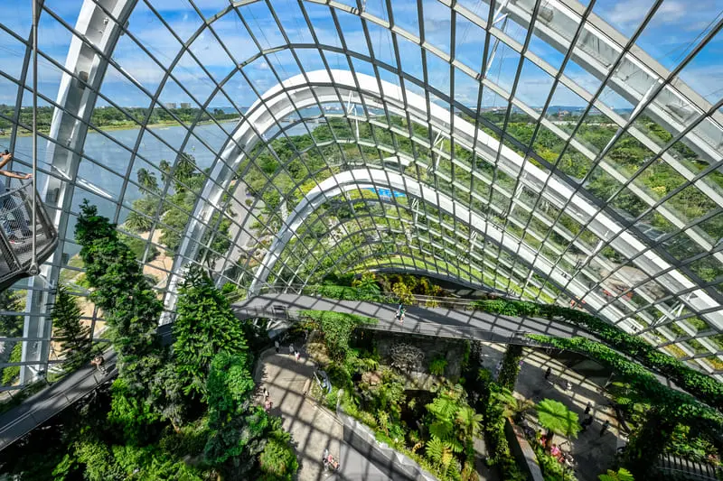 Đắm m&igrave;nh trong thi&ecirc;n nhi&ecirc;n tại Cloud Forest Singapore 3