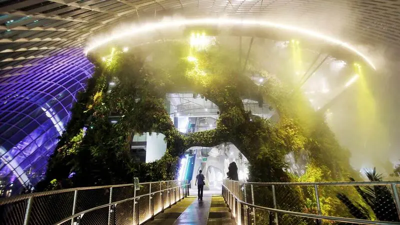 Đắm m&igrave;nh trong thi&ecirc;n nhi&ecirc;n tại Cloud Forest Singapore 6