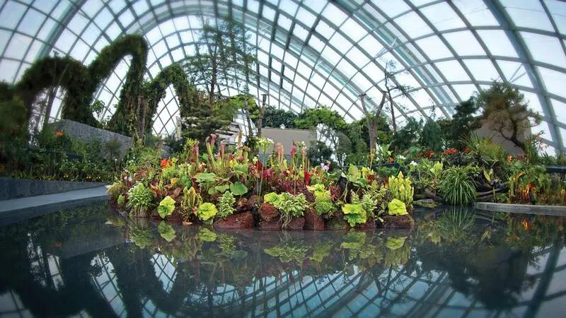 Đắm m&igrave;nh trong thi&ecirc;n nhi&ecirc;n tại Cloud Forest Singapore 4