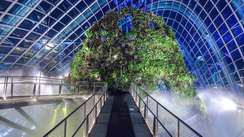 Đắm m&igrave;nh trong thi&ecirc;n nhi&ecirc;n tại Cloud Forest Singapore 5