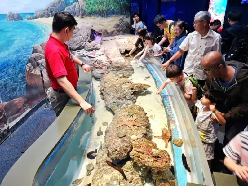 Kh&aacute;m ph&aacute; đại dương thu nhỏ tại S.E.A Aquarium Singapore 7