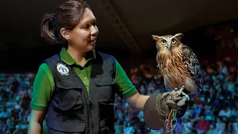 Tham quan Night Safari vườn th&uacute; đ&ecirc;m đầu ti&ecirc;n tr&ecirc;n thế giới 6