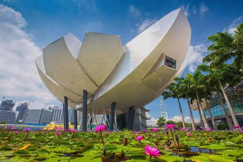 Thưởng l&atilde;m Artscience Museum, kh&ocirc;ng gian nghệ thuật nổi tiếng tại Singapore 6