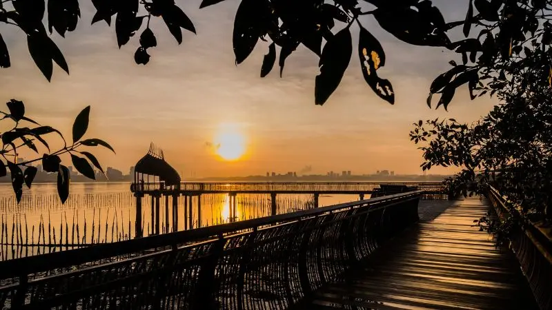 Vui chơi thả ga tại 11 c&ocirc;ng vi&ecirc;n Singapore h&uacute;t kh&aacute;ch du lịch nhất 11