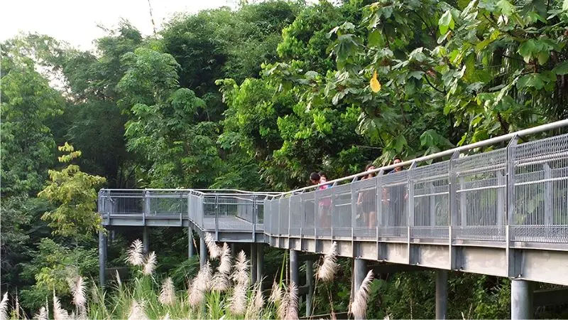 Vui chơi thả ga tại 11 c&ocirc;ng vi&ecirc;n Singapore h&uacute;t kh&aacute;ch du lịch nhất 7
