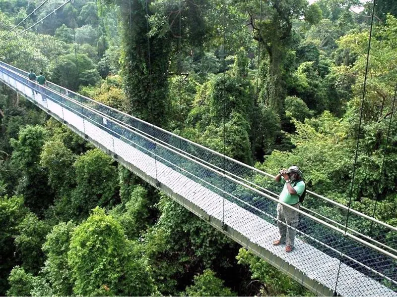 Vui chơi thả ga tại 11 c&ocirc;ng vi&ecirc;n Singapore h&uacute;t kh&aacute;ch du lịch nhất 3