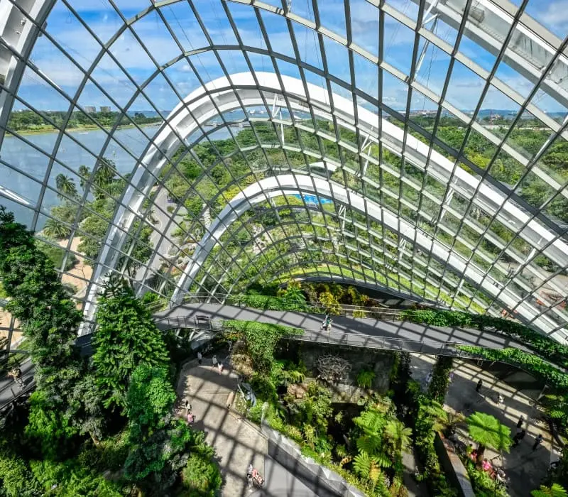 Đắm mình trong thiên nhiên tại Cloud Forest Singapore