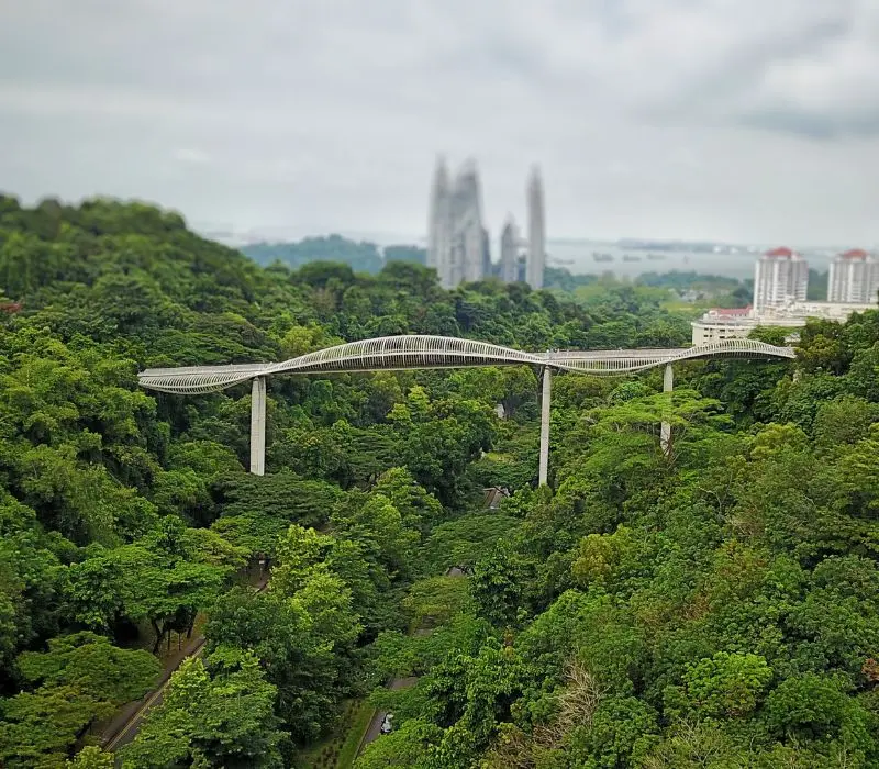 Henderson Waves Singapore, cây cầu biểu tượng của đảo quốc sư tử