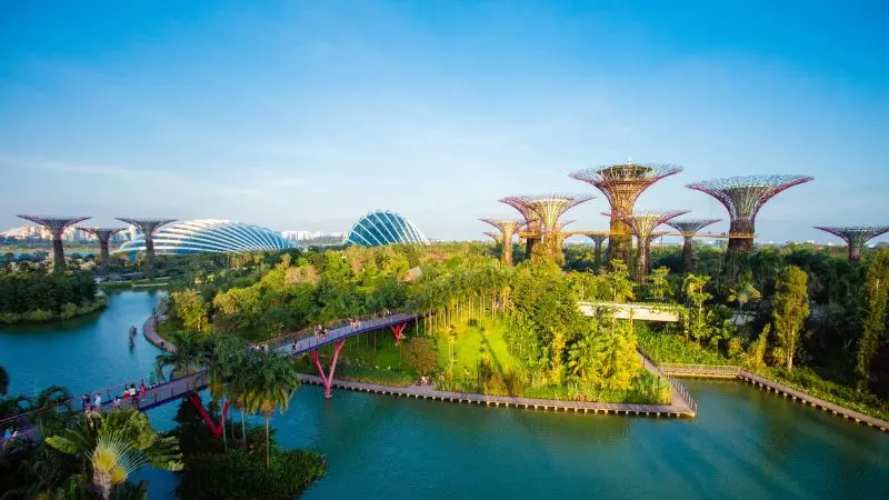 Gardens by the Bay, vườn nhân tạo quy mô khủng tại Singapore 2