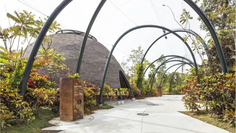 Gardens by the Bay, vườn nhân tạo quy mô khủng tại Singapore 4
