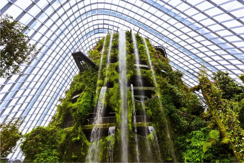 Gardens by the Bay, vườn nhân tạo quy mô khủng tại Singapore 9