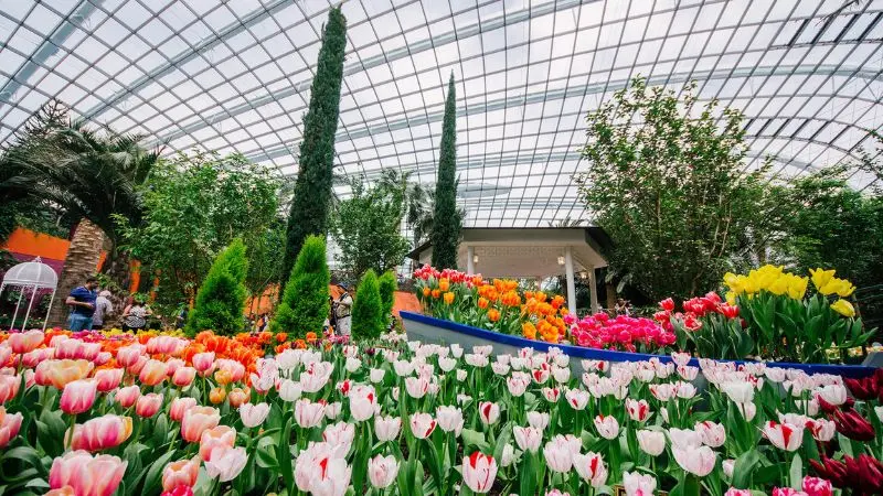 Gardens by the Bay, vườn nhân tạo quy mô khủng tại Singapore 3
