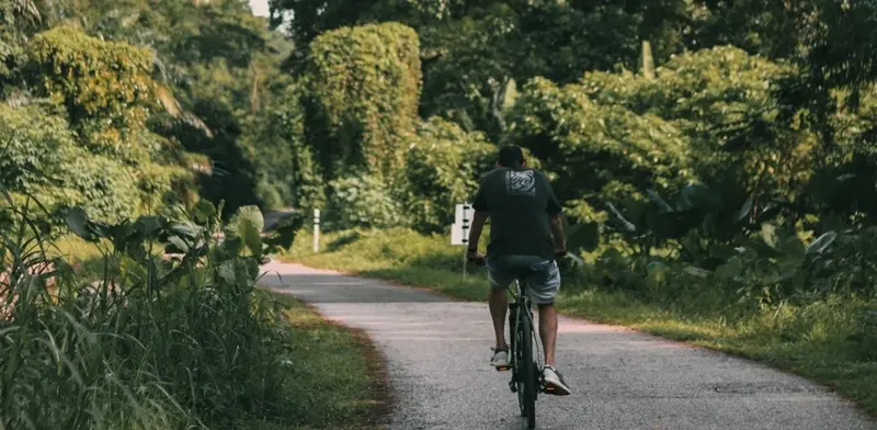Kh&aacute;m ph&aacute; mảng xanh Bukit Timah giữa l&ograve;ng Singapore 4