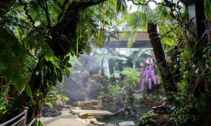 Lạc v&agrave;o Vườn lan Singapore đẹp tựa ti&ecirc;n cảnh chốn nh&acirc;n gian 7